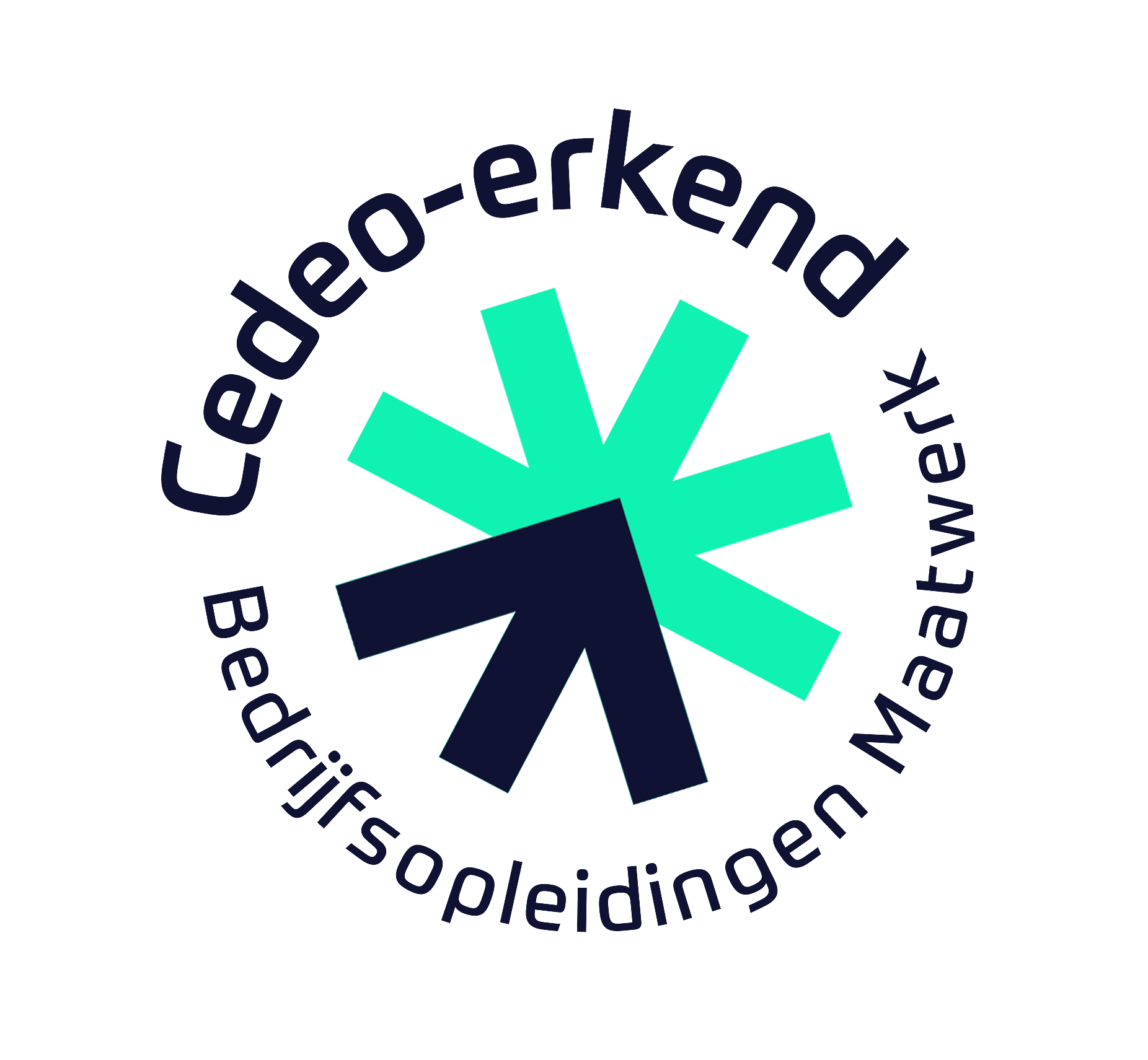 Cedeo Maatwerk opleidingen2